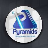 معامل بيراميدز